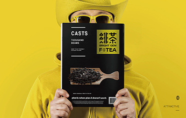 周口绯茶品牌设计